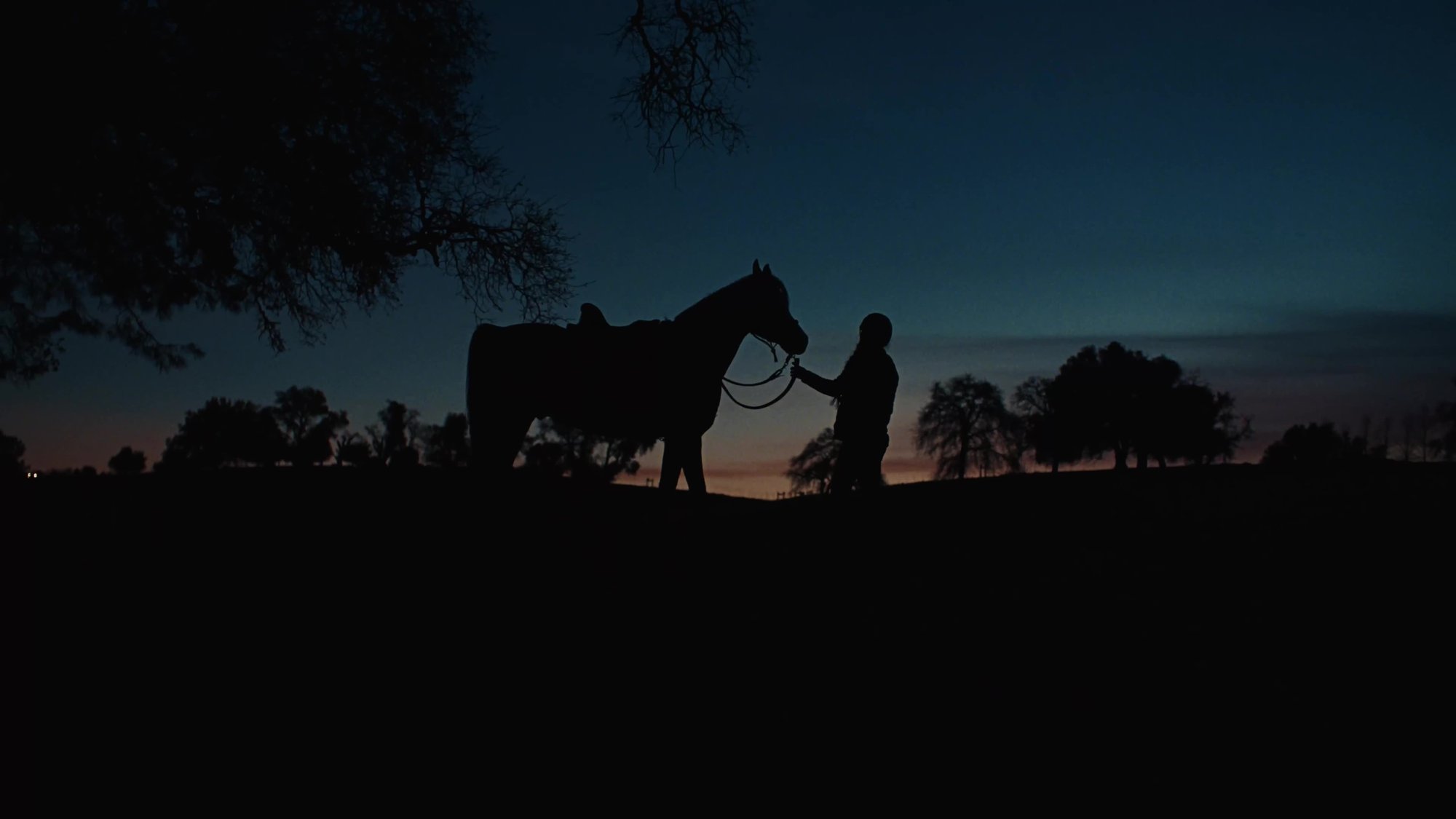 A rider stands silhouetted beside their saddled horse against a deep blue twilight sky at dusk.