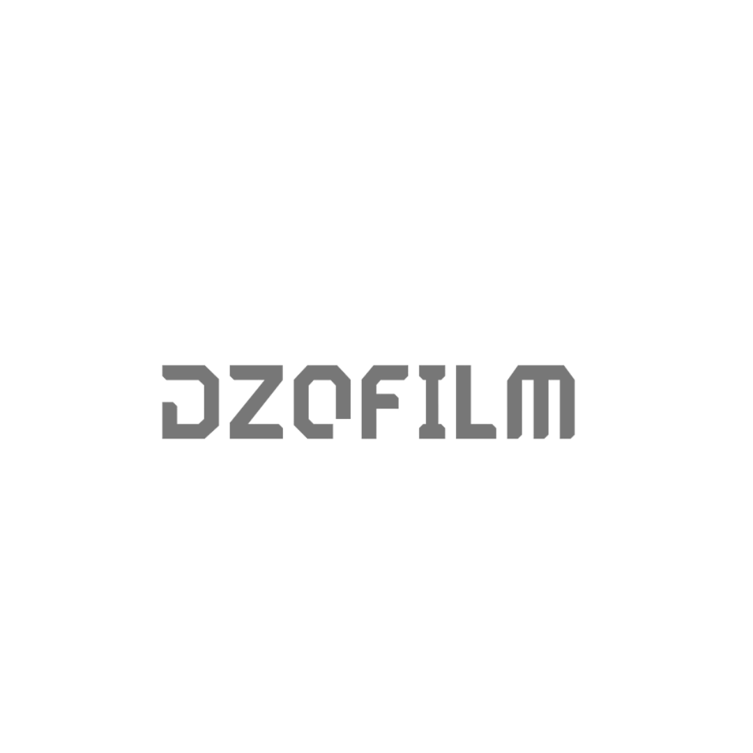 Logo Gray - Dzofilm