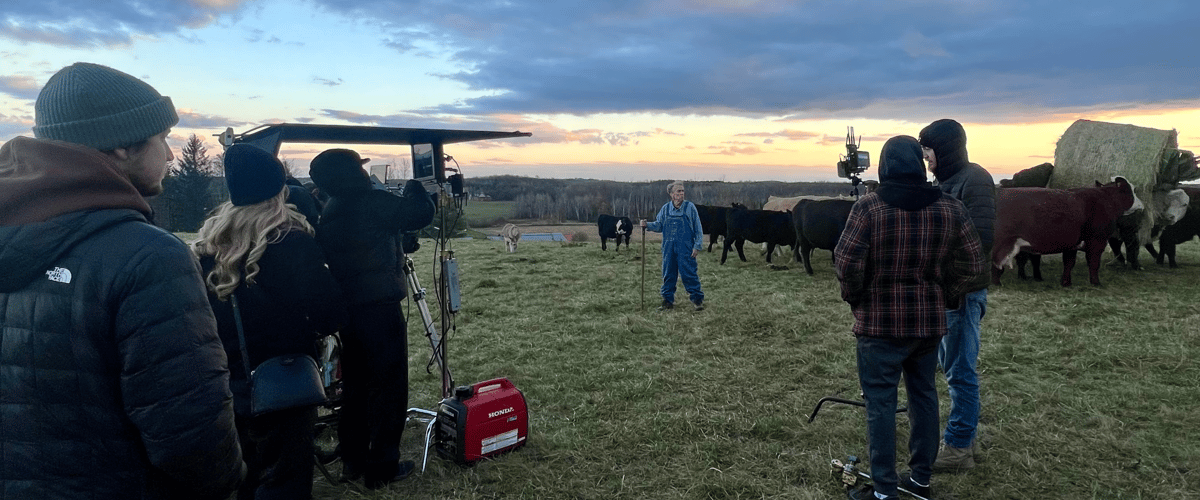 The production team on a farm surrounded by couple of cows.