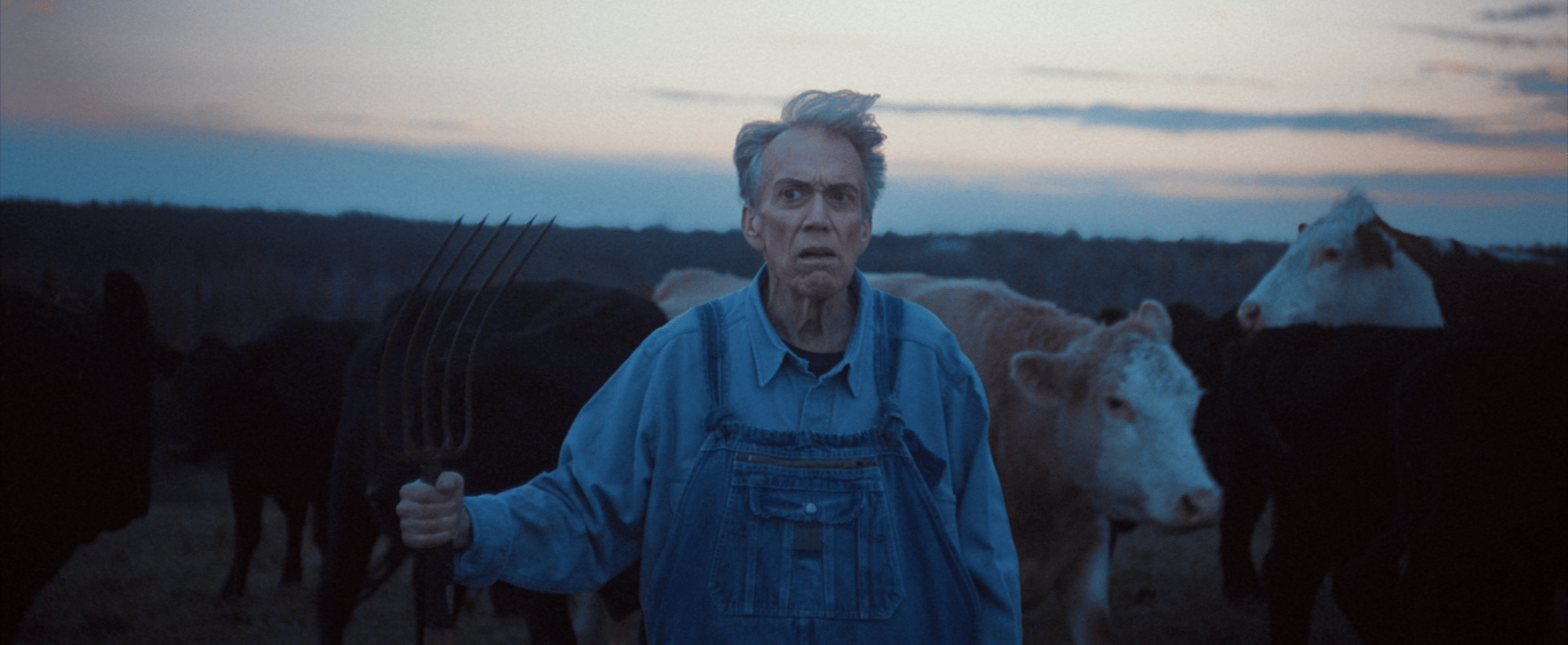 Determined farmer standing among cattle at dusk, portraying authentic rural narratives crafted by a creative agency.