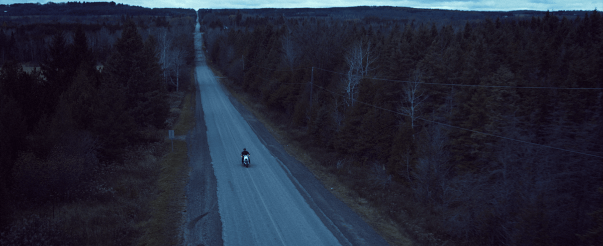 An aerial shot capturing a motorcycle traveling along a long road, bordered by tall trees on either side.