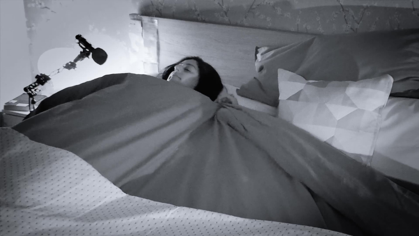 As microphones hang discreetly above, a sleeper’s unconscious mind prepares to review her mattress.