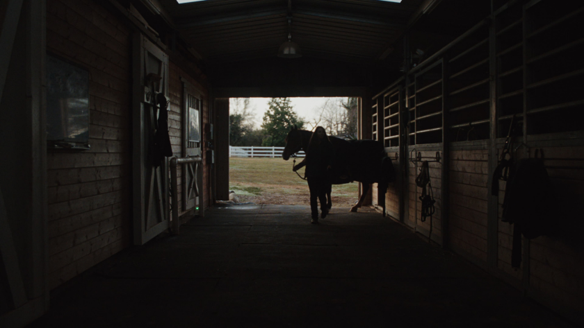 Framed through the barn doorway, a woman leads her horse into the morning light, highlighting a moment of calm before the journey.