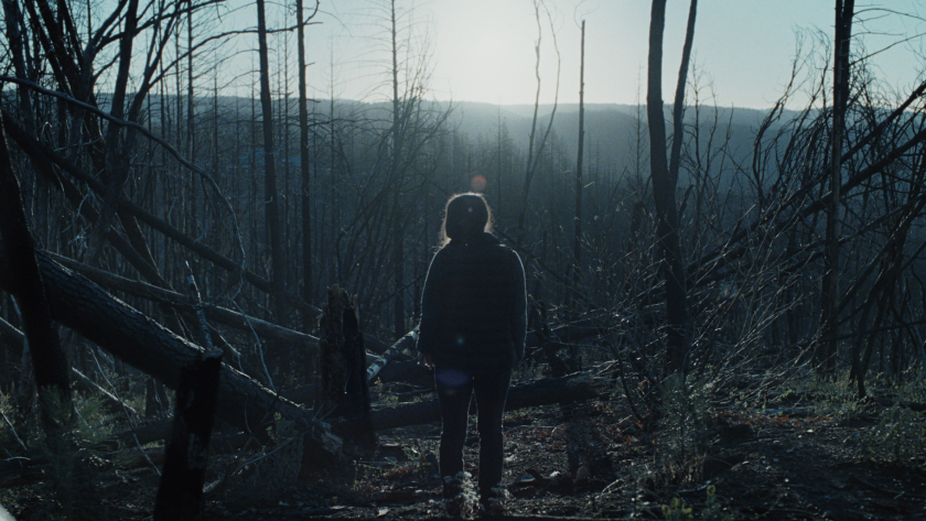 The driver stands amid a scorched forest, framed by dead trees and early sunlight, reflecting the aftermath of wildfire and the mission ahead.