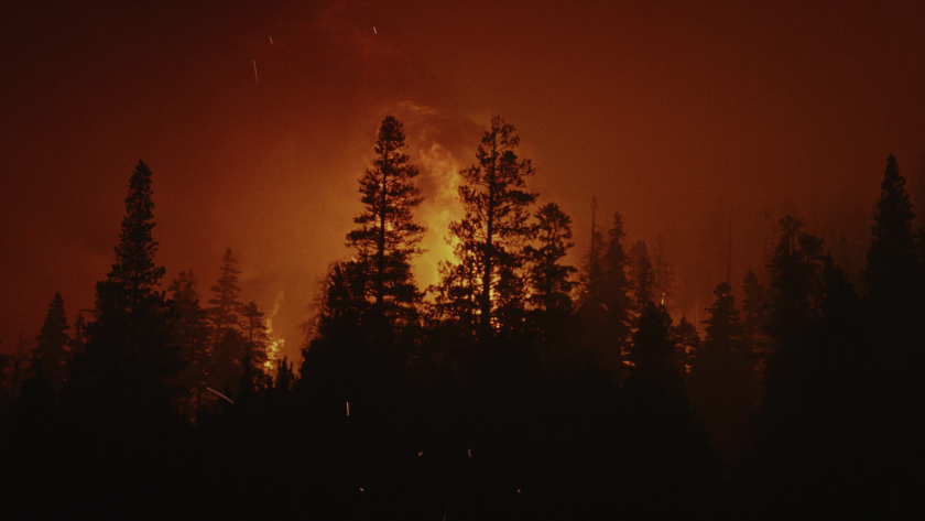 A wall of fire blazes behind silhouetted pines, evoking the extreme conditions faced by both the driver and our production team.