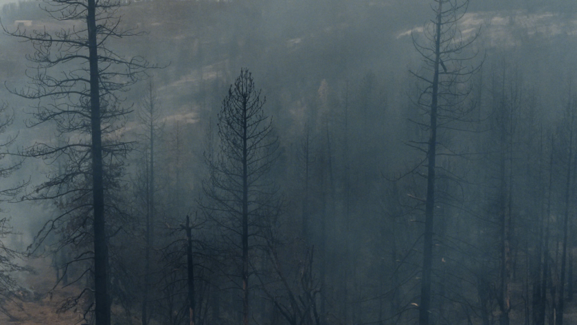 Smoke rises through charred trees in a haunting, post-wildfire landscape, reflecting the stakes behind the mission.