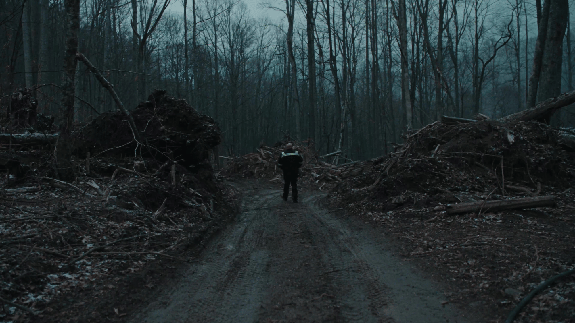 A lone figure in high-vis walks a muddy road lined with uprooted trees, dwarfed by the scale of storm aftermath.