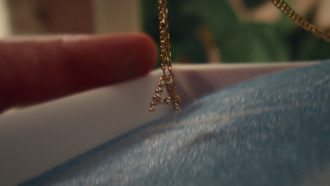 A close-up of a beautiful piece of jewelry being lifted out of a box.