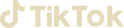 TikTok Logo