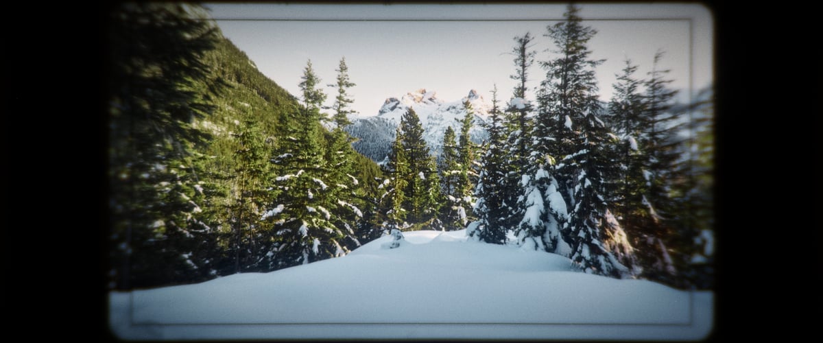 A mountain enveloped in pristine white snow, surrounded by towering, majestic trees.