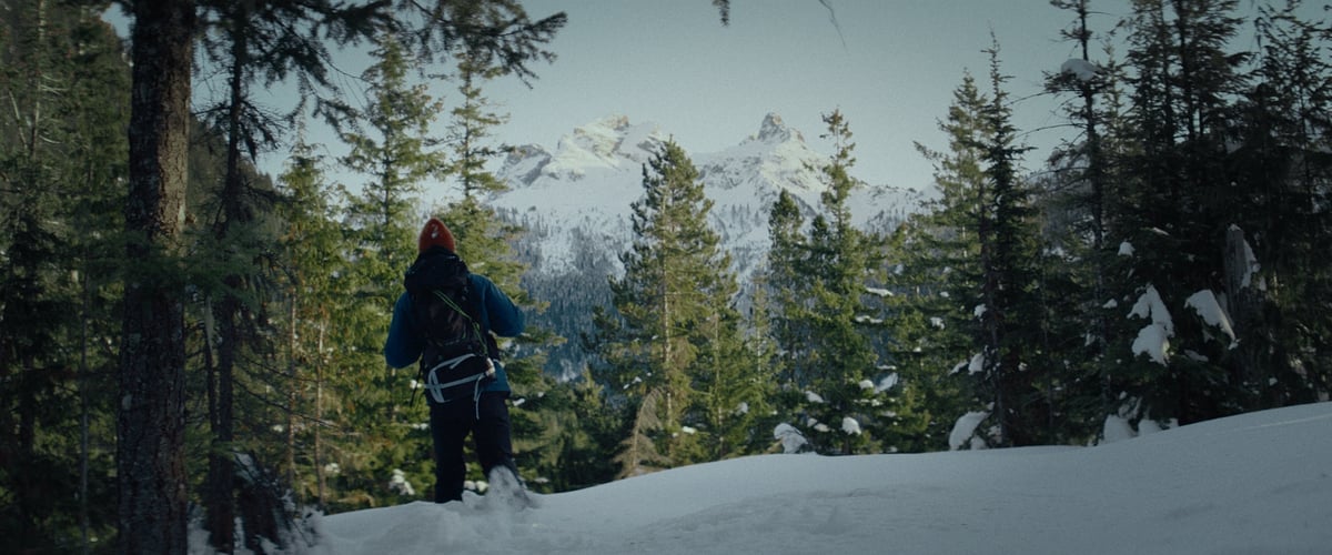 A man stands amidst a snowy mountain landscape, surrounded by tall, majestic trees, all under the backdrop of beautiful 