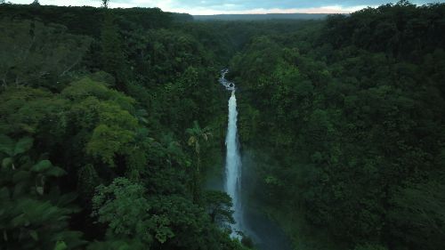 Photo of waterfall surrounded by trees