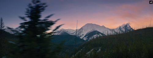 Photo of sunset with purple and pink skies. Mountains with snow in the background. Pine trees in the front.