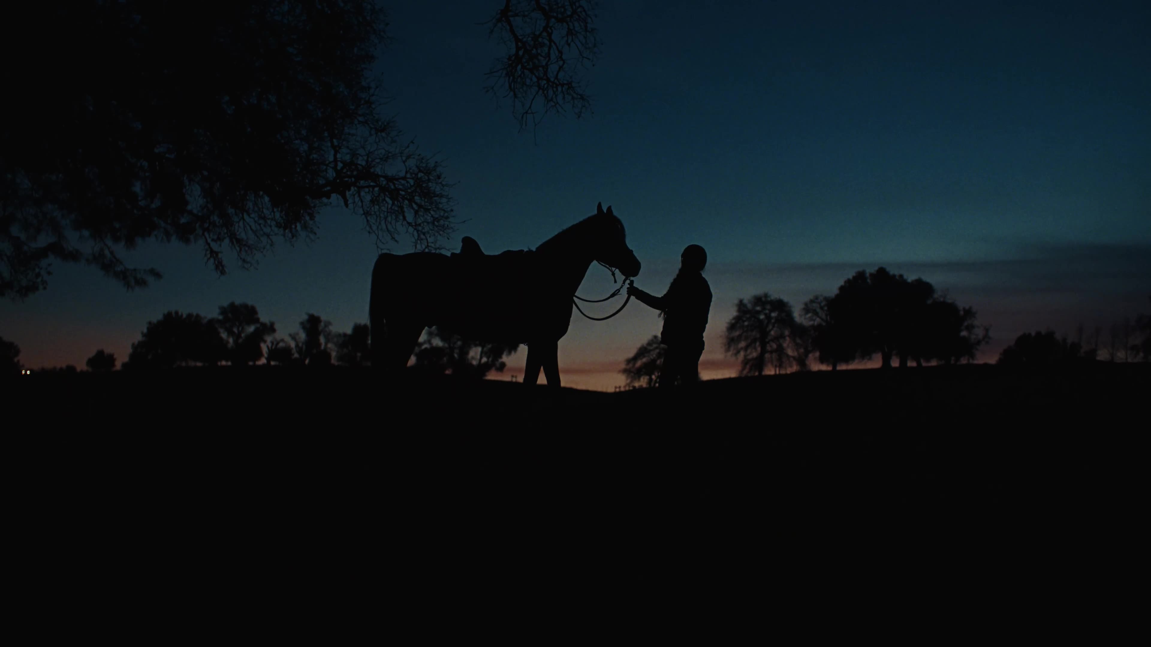 A silhouetted figure stands beside a horse at dusk, grounding the moment in quiet ritual and fading light.