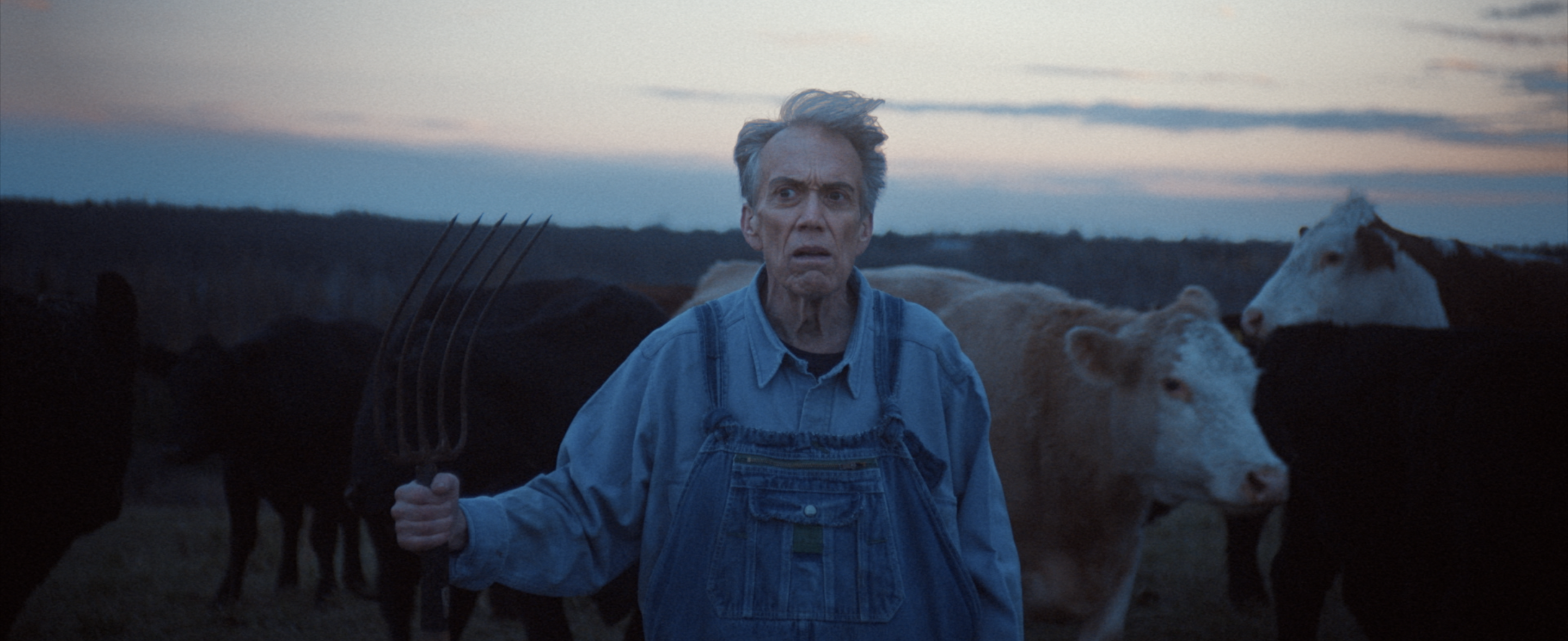 An old man is standing in the farm, holding a farm rake, with cows in the background.
