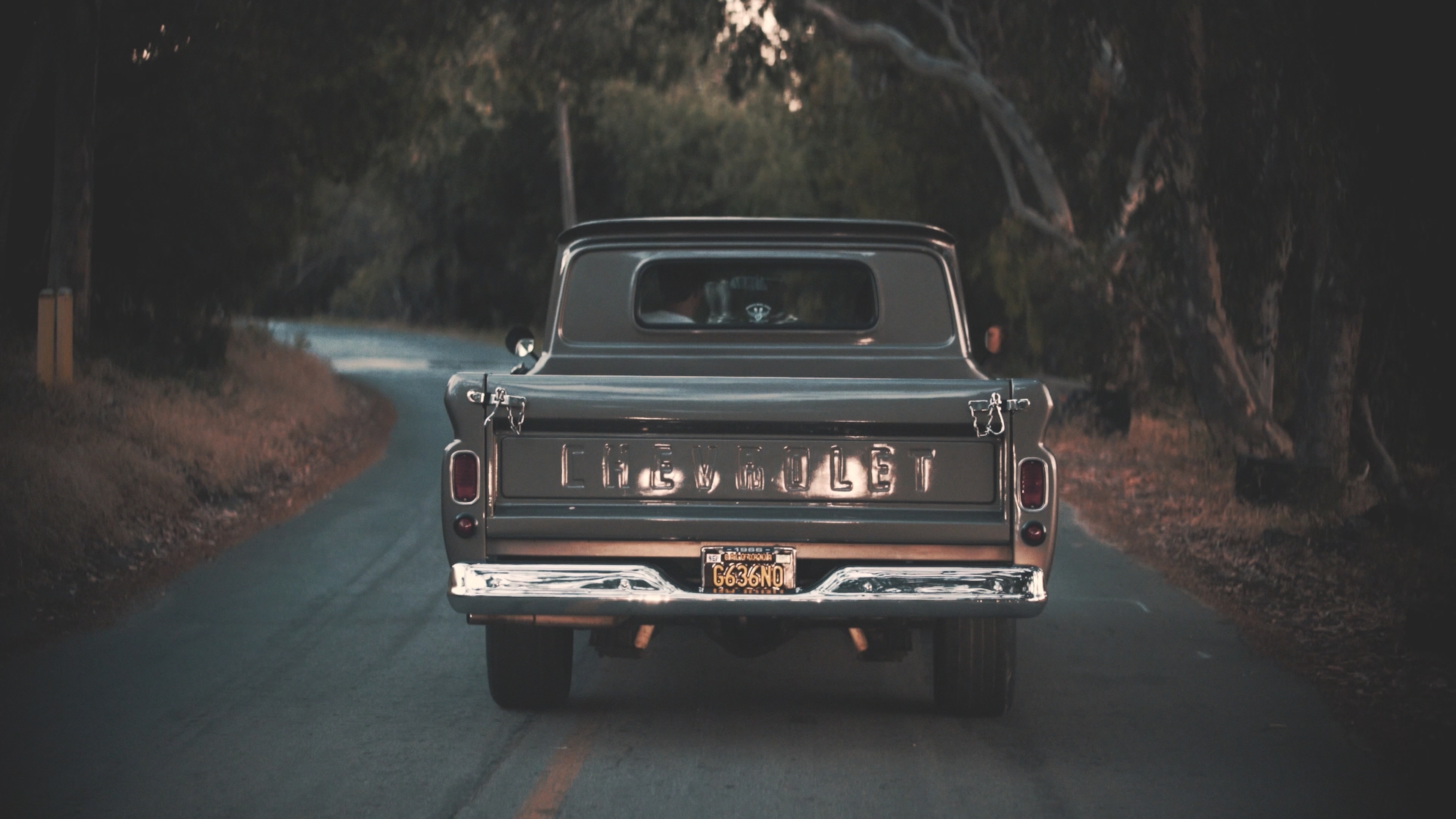 Photo of vintage pickup truck on a road surrounded by trees