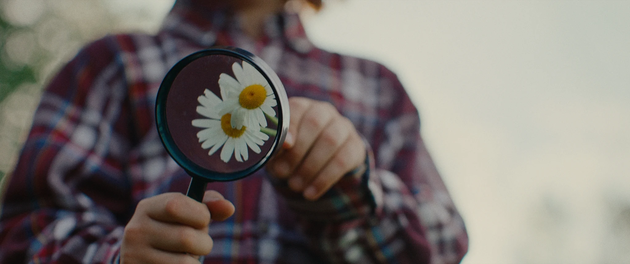 boy holding a magnifying glass up to daisys